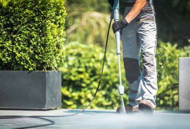 Best Solar Panel Cleaning  in Cole Camp, MO