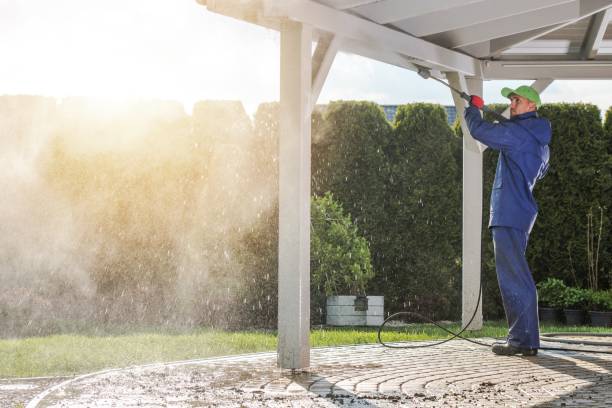 Best Sidewalk and Walkway Cleaning  in Cole Camp, MO